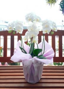 商品アップしました☆|「フルール花もと」　（神奈川県秦野市の花屋）のブログ